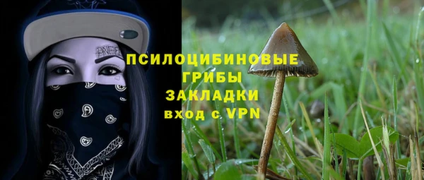 герыч Алексин