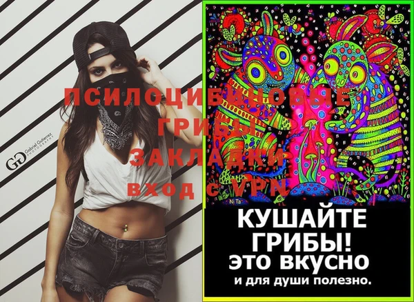 PSILOCYBIN Алексеевка