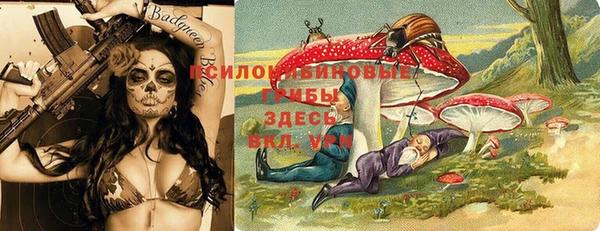 герыч Алексин