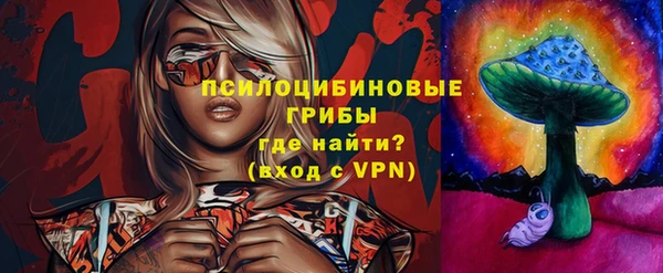PSILOCYBIN Алексеевка