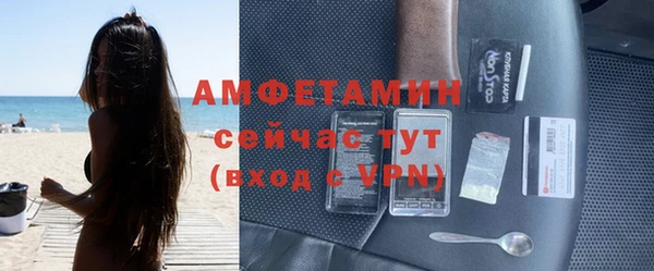 индика Рославль