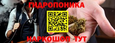 шишки Ярцево
