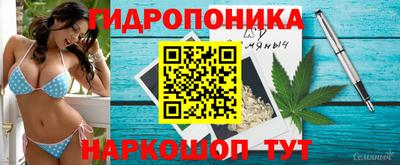 ГАЛЛЮЦИНОГЕННЫЕ ГРИБЫ Кандалакша