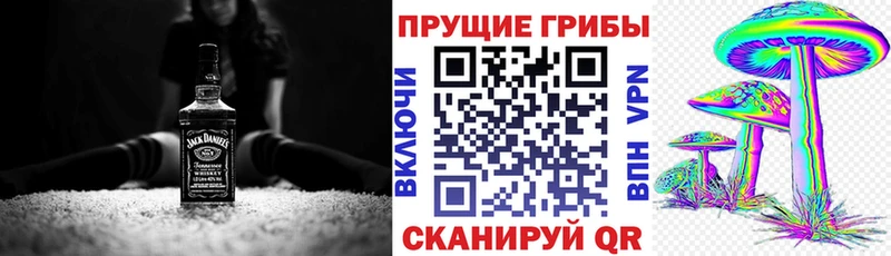 Галлюциногенные грибы GOLDEN TEACHER  цены наркотик  маркетплейс наркотические препараты  Нарткала 