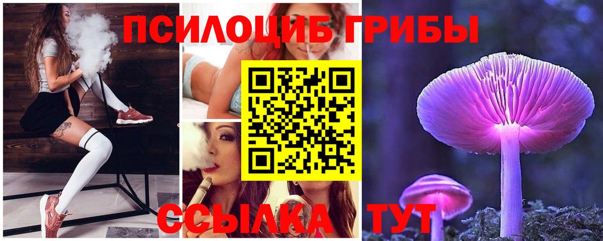 Нарткала  Галлюциногенные грибы Psilocybe  Вход с VPN 